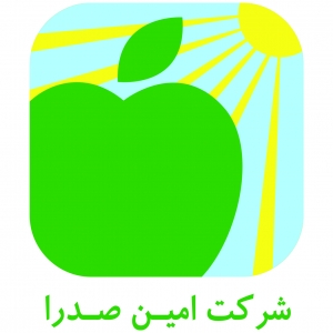 شرکت امین صدرا